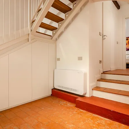 Hermathena 博洛尼亚