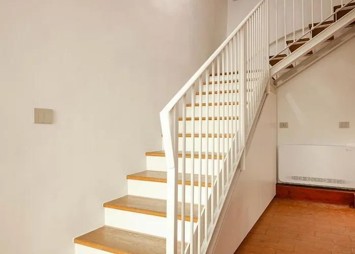 아파트 Hermathena *